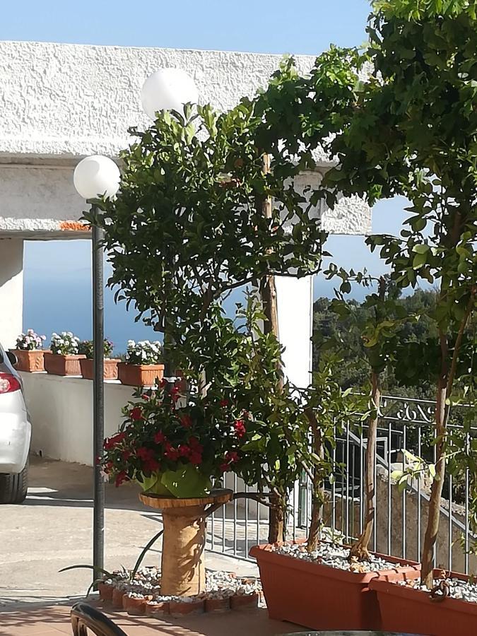Vietri Il Covo Delle Civette B&B 외부 사진