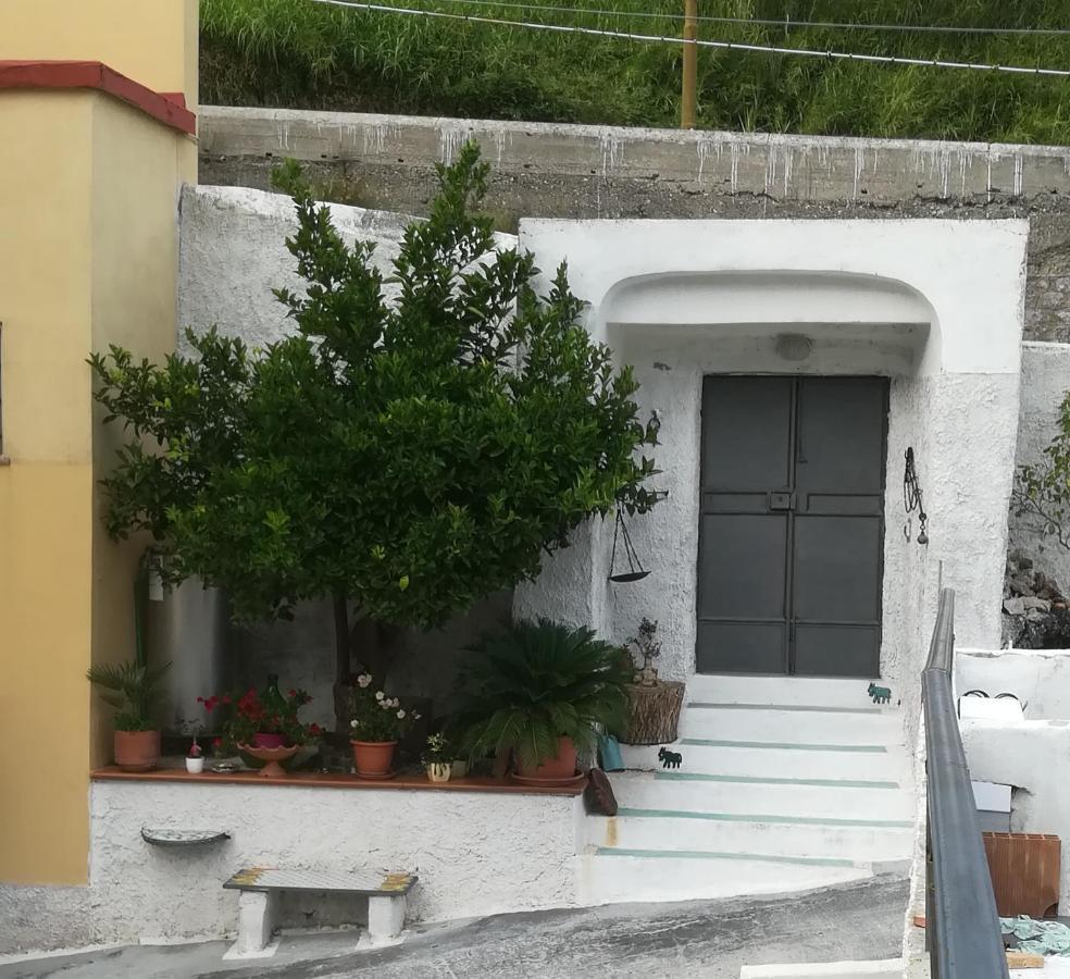 Vietri Il Covo Delle Civette B&B 외부 사진