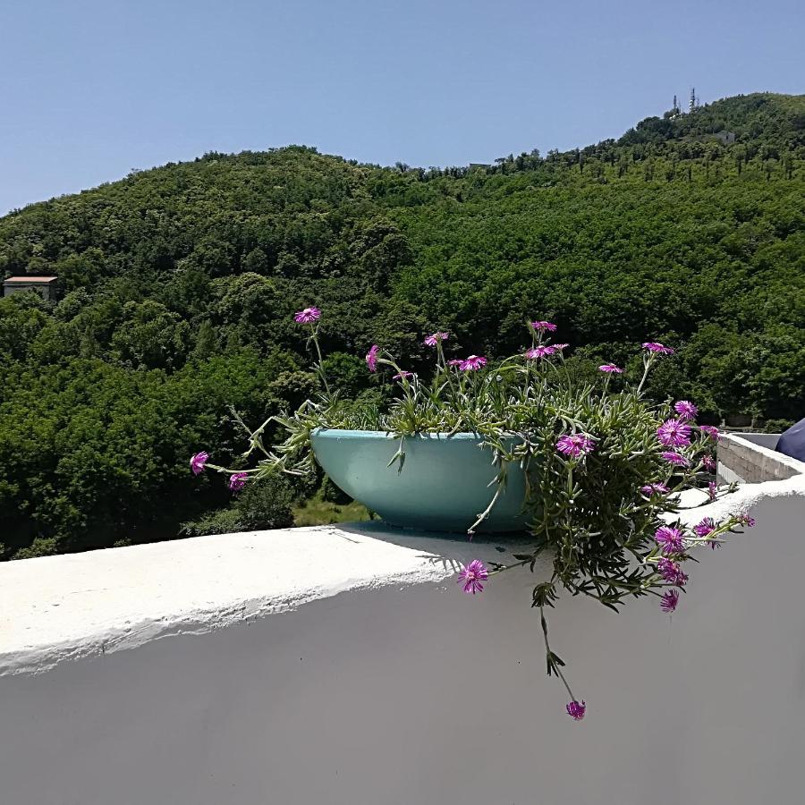 Vietri Il Covo Delle Civette B&B 외부 사진