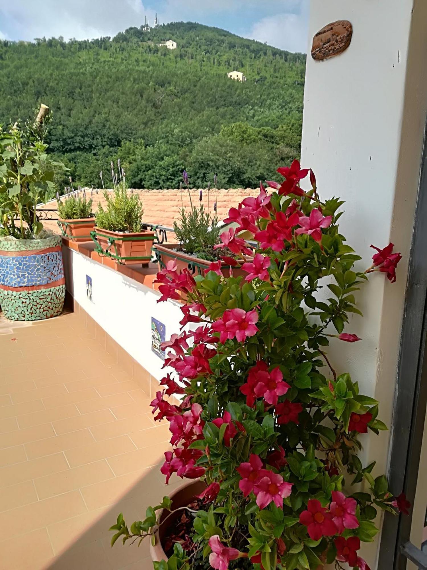 Vietri Il Covo Delle Civette B&B 외부 사진