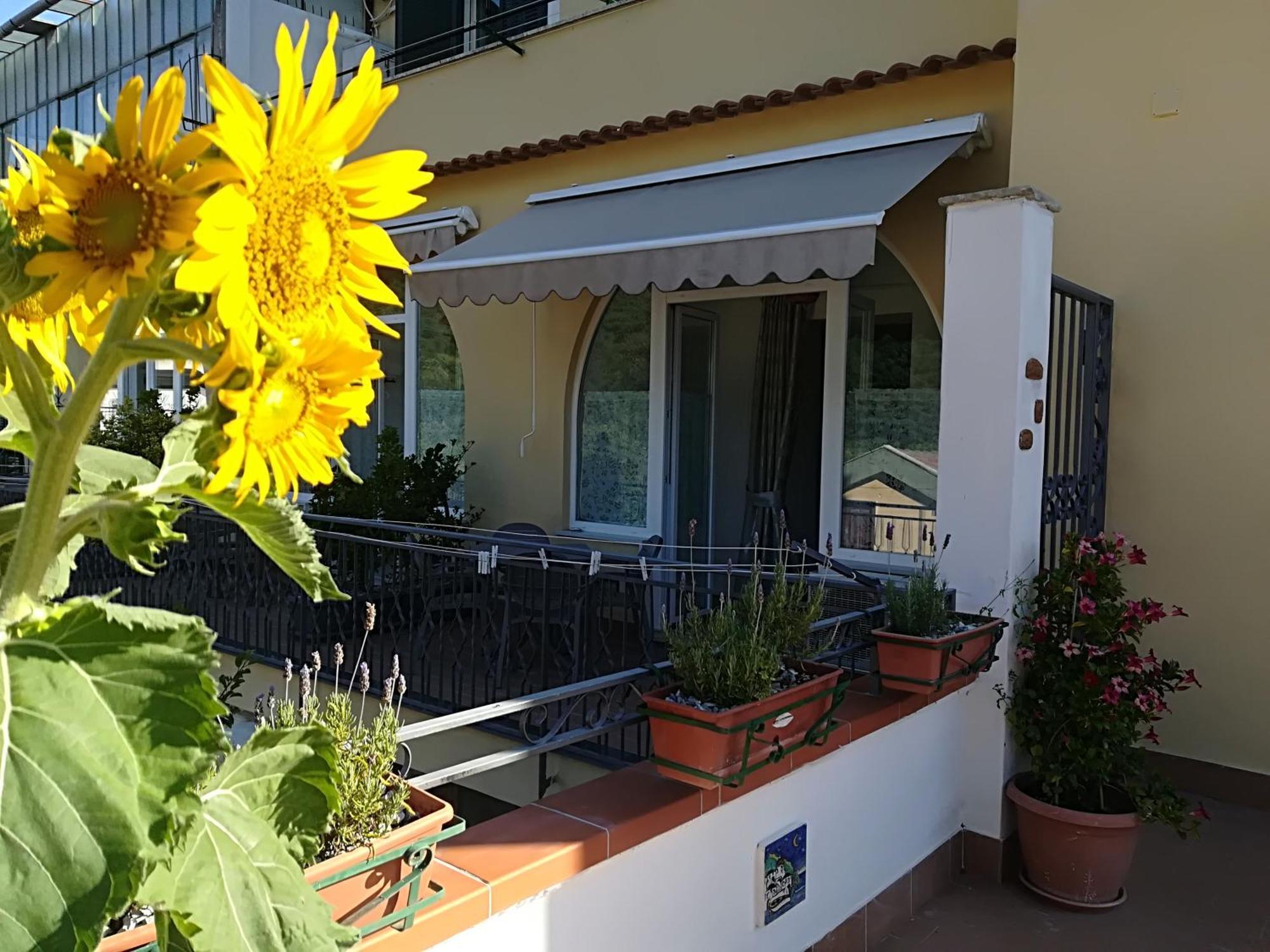 Vietri Il Covo Delle Civette B&B 외부 사진