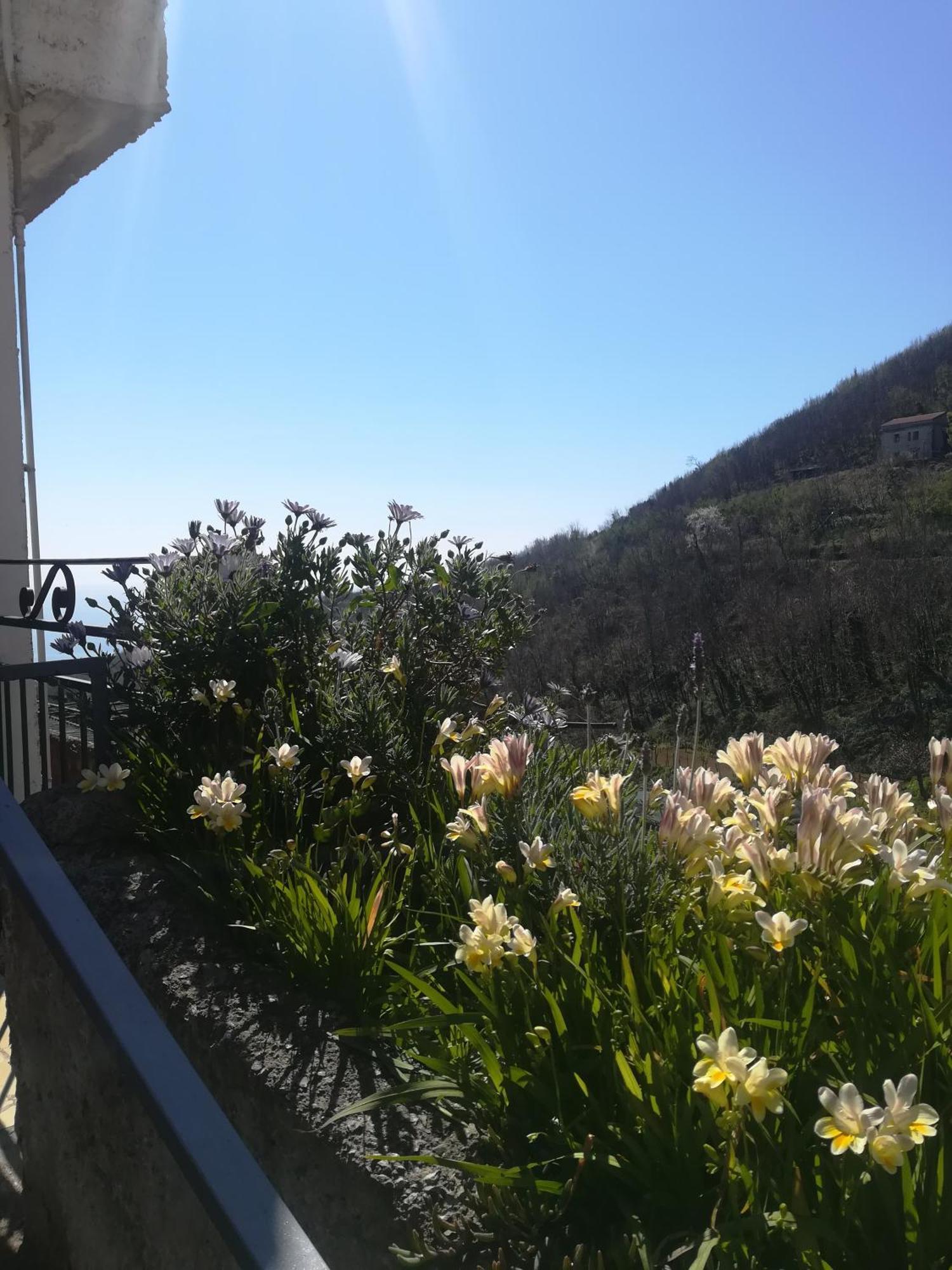 Vietri Il Covo Delle Civette B&B 외부 사진