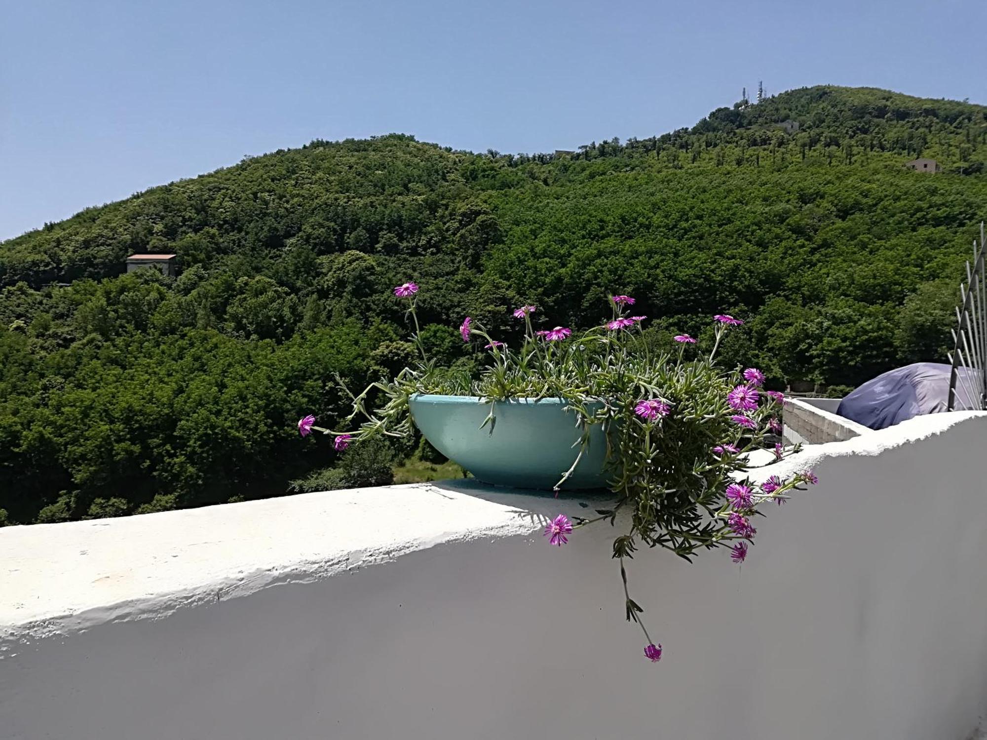 Vietri Il Covo Delle Civette B&B 외부 사진